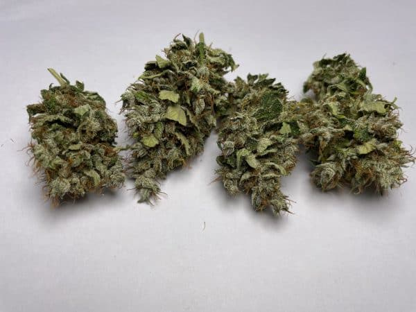 Medicuana – Fluffy Owl CBG Flower