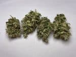 Medicuana – Fluffy Owl CBG Flower
