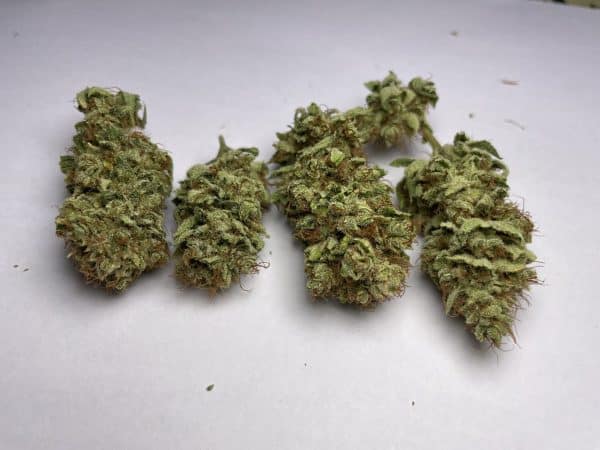 Medicuana – Sunny Sunrise CBG Flower