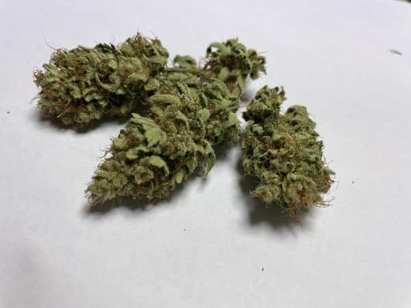Medicuana – Sunny Sunrise CBG Flower