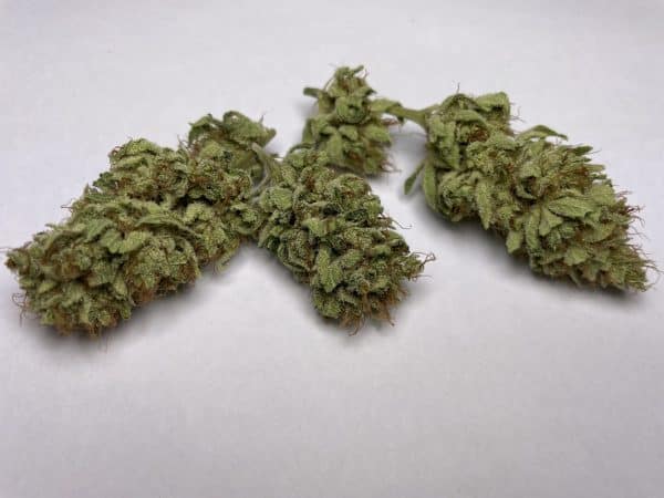 Medicuana – Sunny Sunrise CBG Flower