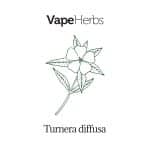 VapeHerbs – Damiana 30g