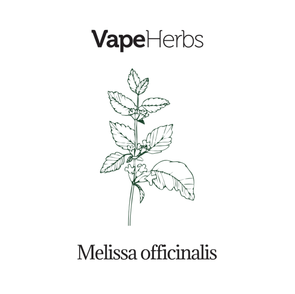 VapeHerbs – Lemon balm 30g