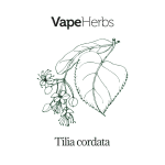 VapeHerbs – Linden 30g