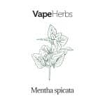 VapeHerbs – Spearmint 30g