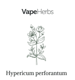 VapeHerbs – St. John’s wort 30g