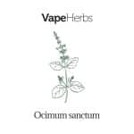 VapeHerbs – Tulsi – Indian basil 15g