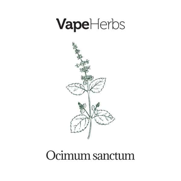 VapeHerbs – Tulsi – Indian basil 15g