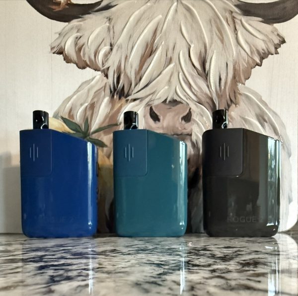 Healthy Rips ROGUE 2 – Portable Vaporizer