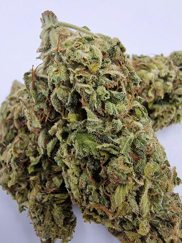 Hemp Book Cosmos CBD