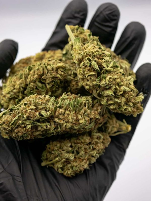 Mars Dried CBD Mars Dried CBD